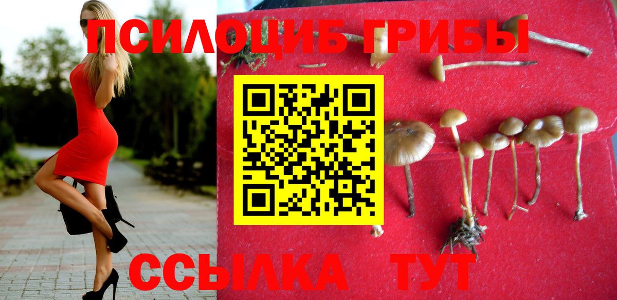 Псилоцибиновые грибы GOLDEN TEACHER Ачинск