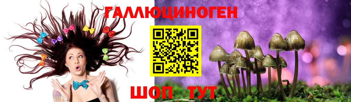 Ачинск  Галлюциногенные грибы GOLDEN TEACHER  Псилоцибиновые грибы Psilocybe  Вход с VPN 